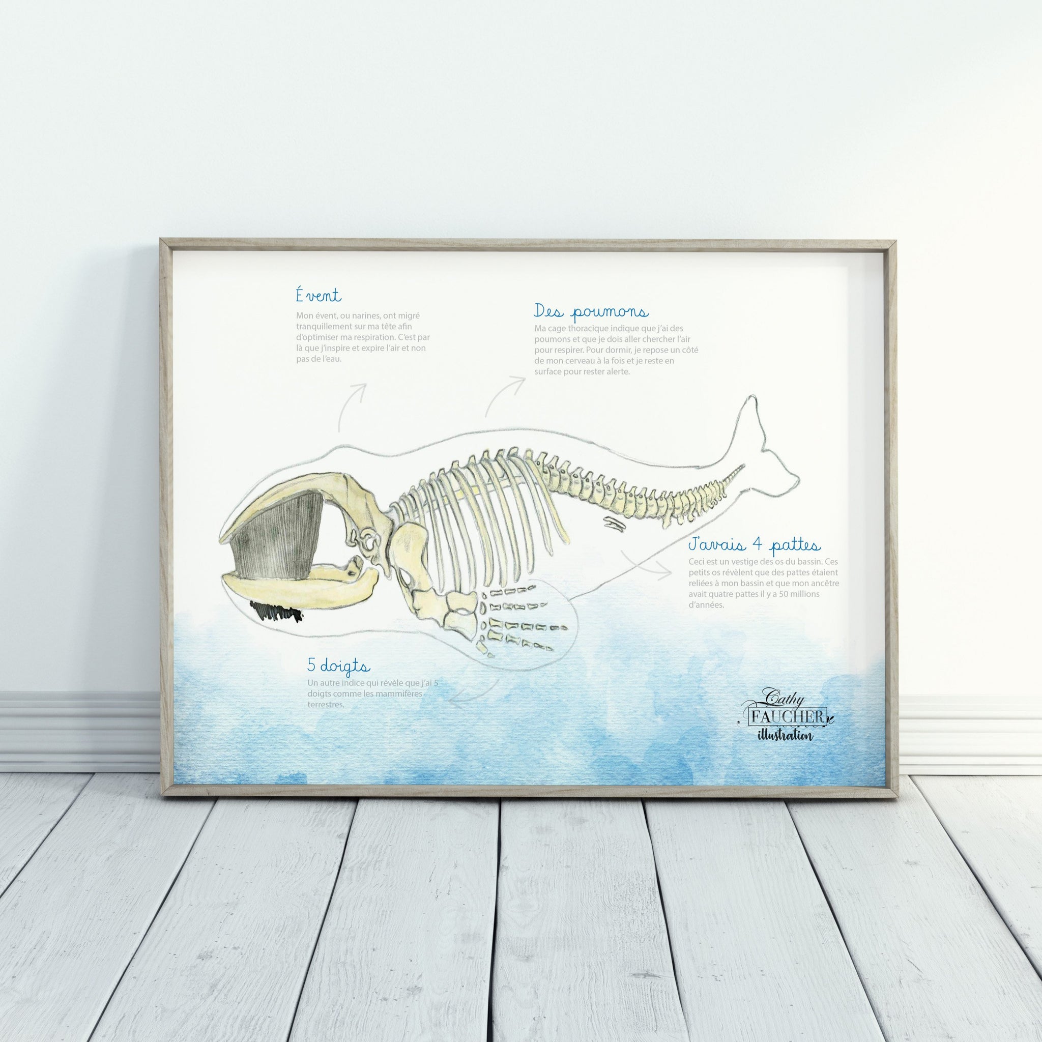Affiche squelette de baleine