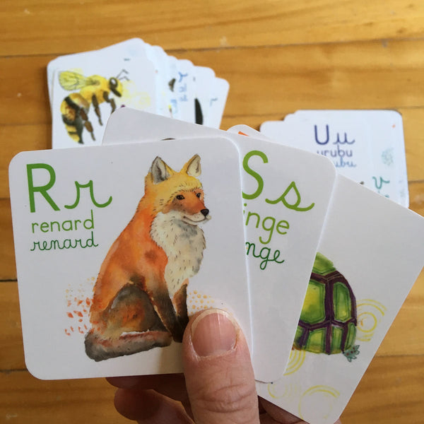 Abécédaire des animaux du monde de 26 cartes 3x3 pouces