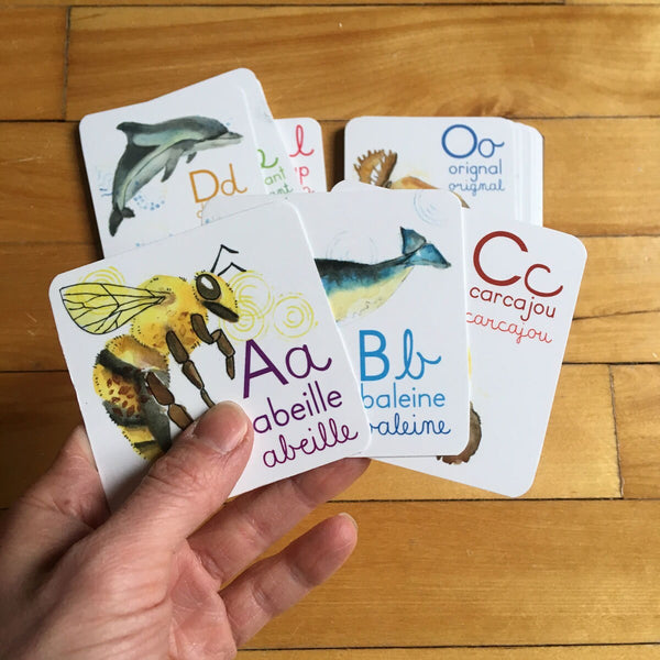 Abécédaire des animaux du monde de 26 cartes 3x3 pouces