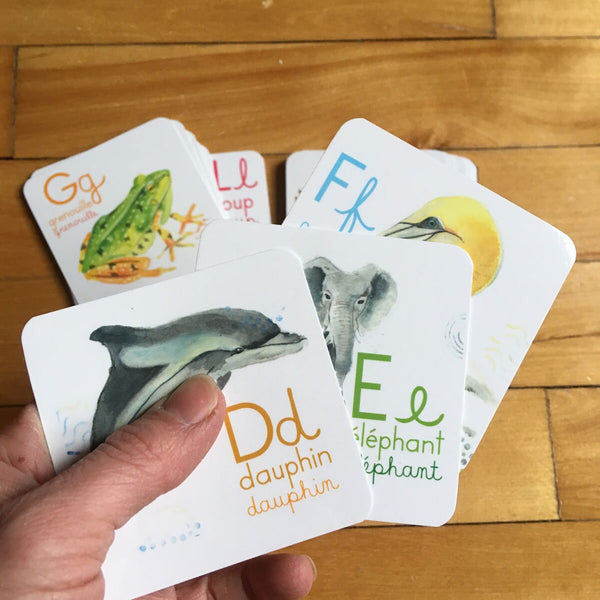 Abécédaire des animaux du monde de 26 cartes 3x3 pouces