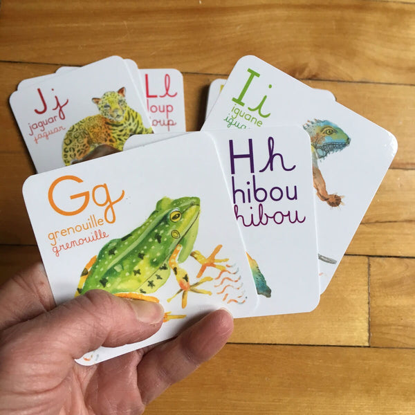 Abécédaire des animaux du monde de 26 cartes 3x3 pouces