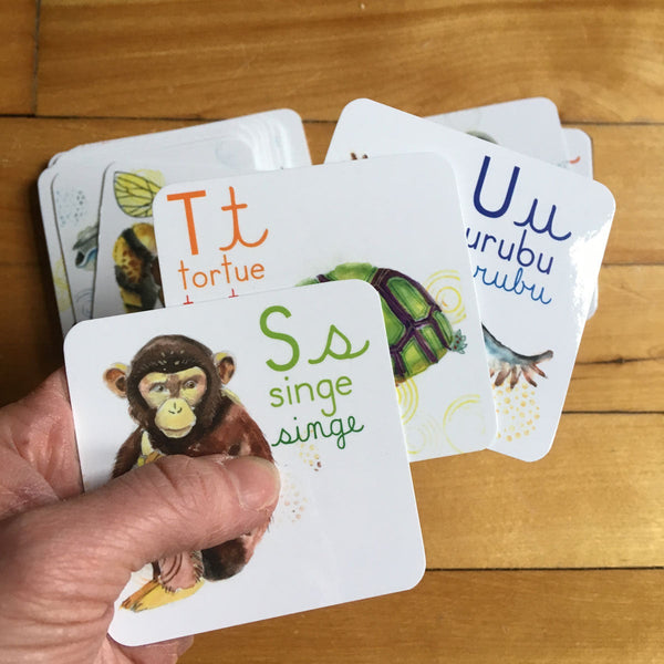 Abécédaire des animaux du monde de 26 cartes 3x3 pouces
