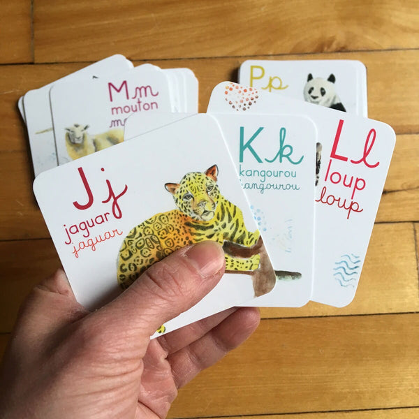 Abécédaire des animaux du monde de 26 cartes 3x3 pouces