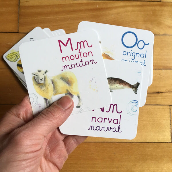 Abécédaire des animaux du monde de 26 cartes 3x3 pouces