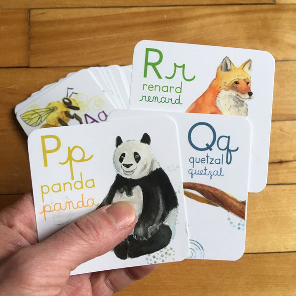 Abécédaire des animaux du monde de 26 cartes 3x3 pouces