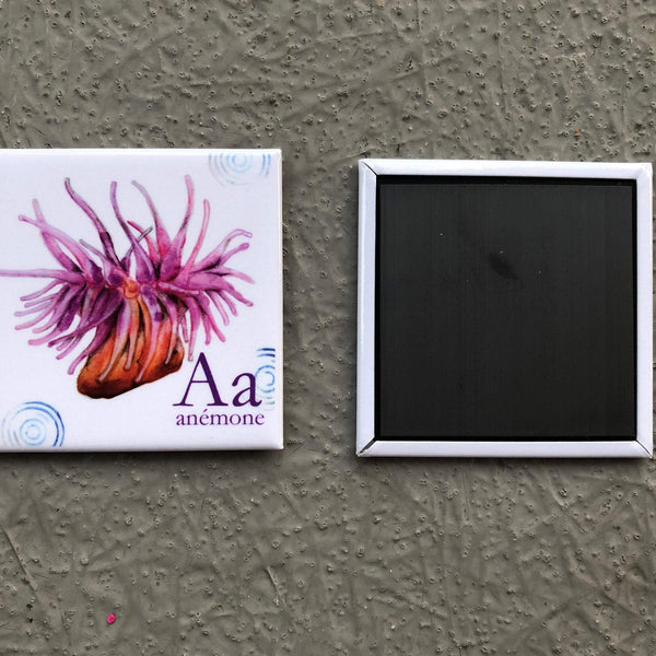 Magnet fridge animal abc’s in ENGLISH