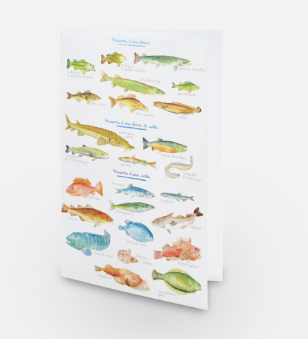 Carte de souhait poissons du St-Laurent
