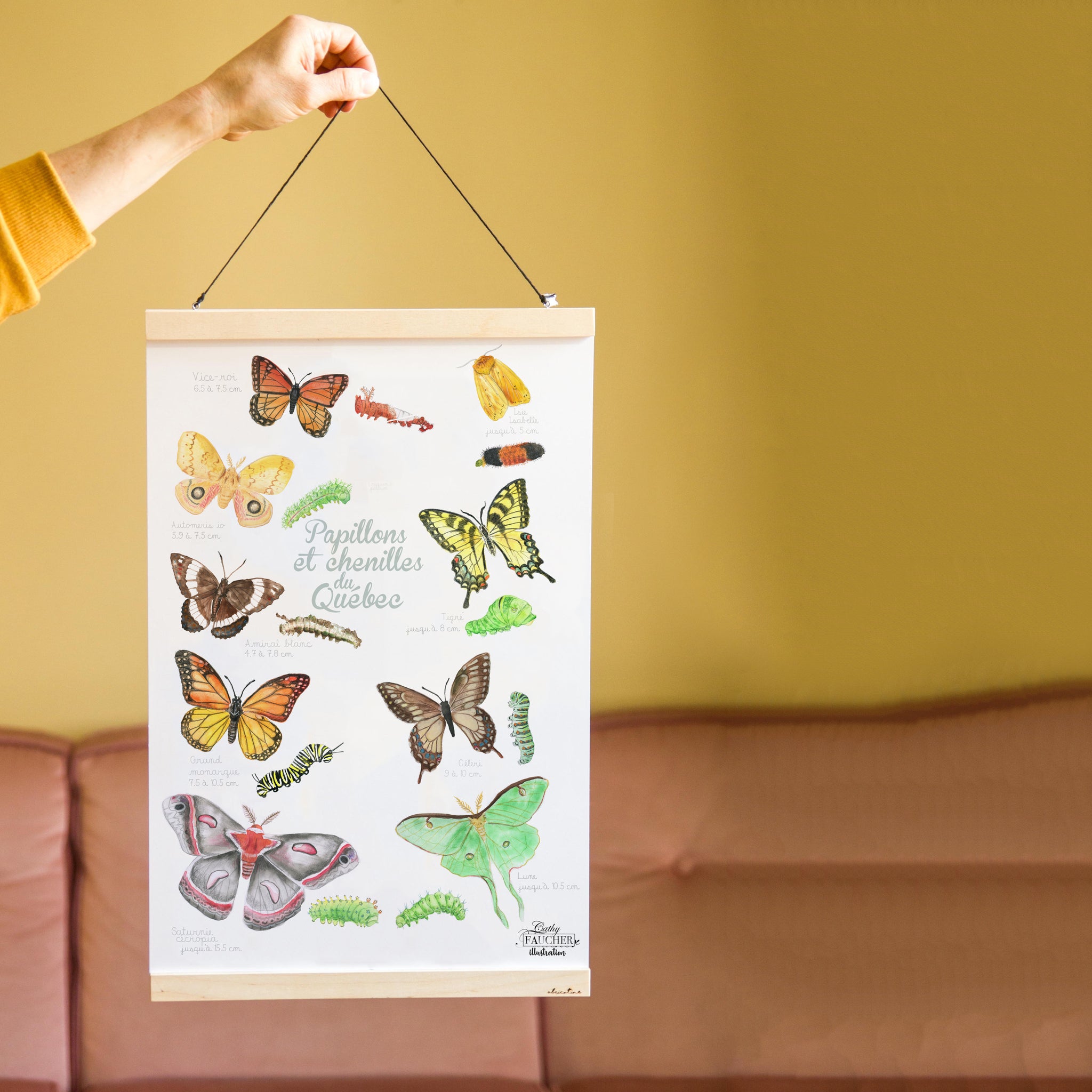 Affiche papillons et chenilles
