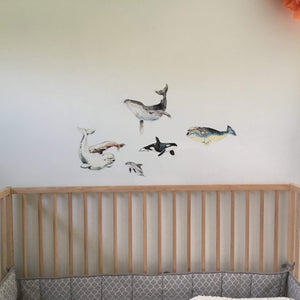Appliqué mural 5 mammifères marins