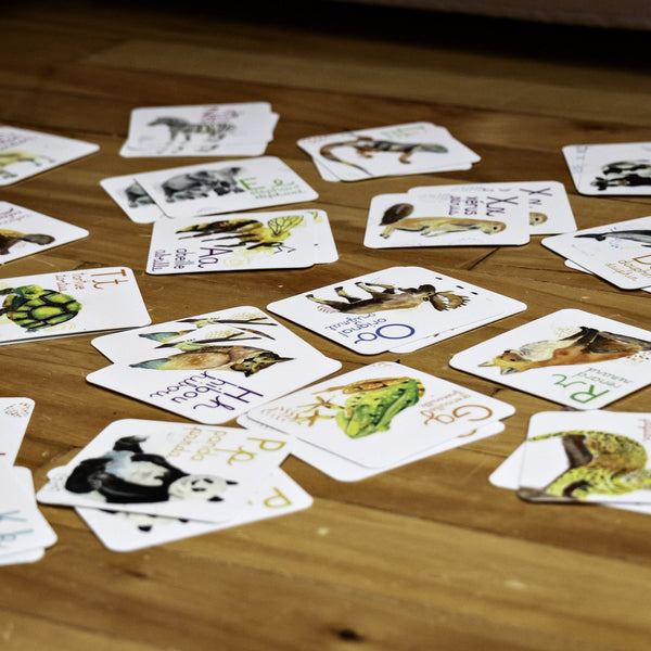 Abécédaire des animaux du monde de 26 cartes 3x3 pouces